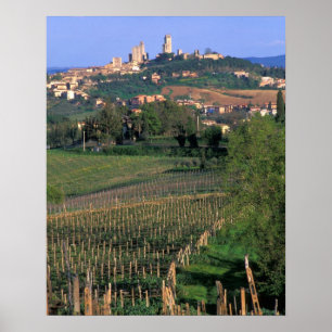 Het dorp San Gimignano ligt in de glooiende Poster