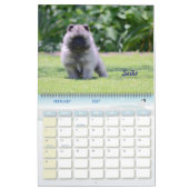 Het draaiboek van 2016: Puppy Edition Kalender (Feb 2027)
