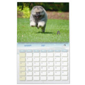 Het draaiboek van 2016: Puppy Edition Kalender (Jan 2027)