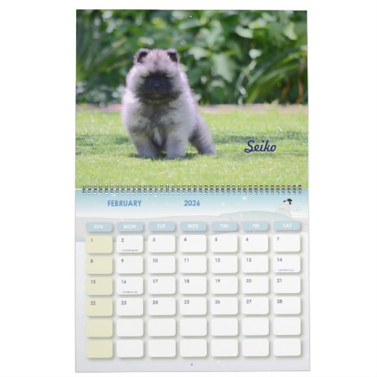 Het draaiboek van 2016: Puppy Edition Kalender (Feb 2026)