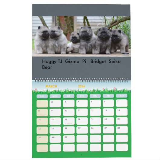 Het draaiboek van 2016: Puppy Edition Kalender (Mar 2026)