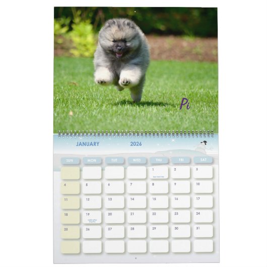 Het draaiboek van 2016: Puppy Edition Kalender (Jan 2026)