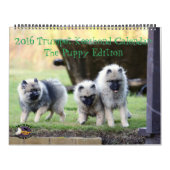 Het draaiboek van 2016: Puppy Edition Kalender (Hoes)