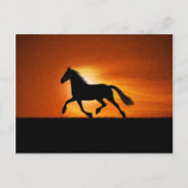 Het draaiende paard briefkaart (Voorkant)