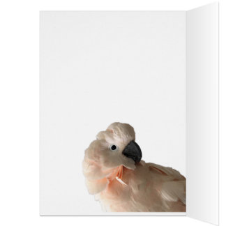 Het dragen is het Delen kaart