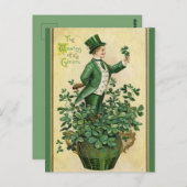  Het dragen van de groene en Shamrocks Briefkaart (Voorkant / Achterkant)