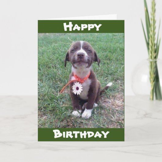 *** HET DRAGEN VAN EEN MADAISY ALLEEN VOOR JOU *** KAART (Voorkant)