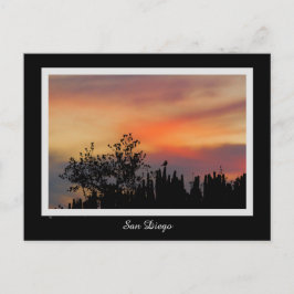 Het dramatische Roze Sinaasappel van San Diego van Briefkaart