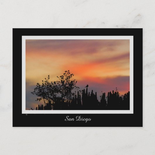 Het dramatische Roze Sinaasappel van San Diego van Briefkaart (Voorkant)