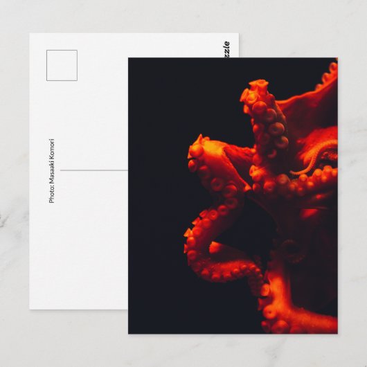 Het dramatische Sinaasappel & de Zwarte van de Briefkaart (Voorkant / Achterkant)