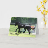 Het draven van het Pony van dallen kaart (Gele Bloem)