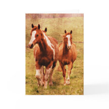 Het Draven van paarden