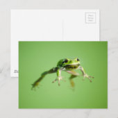 Het drijven kikker in transparant en kalm water. briefkaart (Voorkant / Achterkant)