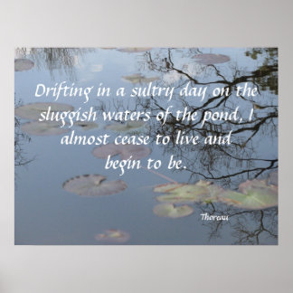 Het drijven op de Pond Poster