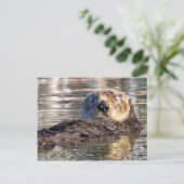 Het drijven Otter Briefkaart (Staand voorkant)