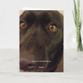 Het droevige Denken van de Hond aan u kaart (Achterkant)