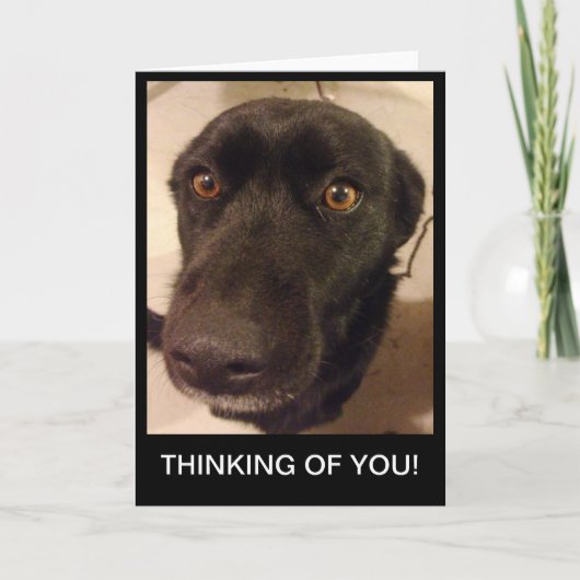 Het droevige Denken van de Hond aan u kaart (Voorkant)