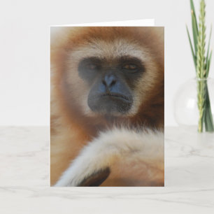 Het droevige Wenskaart van de Gibbon Kaart