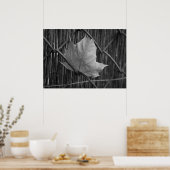 Het droge esdoornblad - Poster (Keuken)