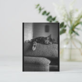 Het dromen briefkaart (Staand voorkant)