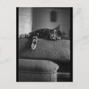 Het dromen briefkaart