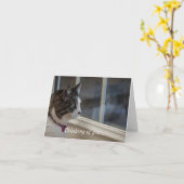 Het dromen van het warmere weer om naar buiten te kaart (Gele Bloem)