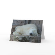 Het dromen van Ijsbergen