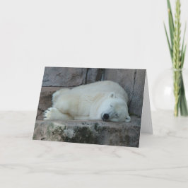 Het dromen van Ijsbergen Feestdagen Kaart