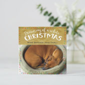 Het dromen van witte Kerstmis Feestdagenkaart (Staand voorkant)