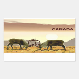 Het Duel van de kariboe - Canada Rechthoekige Sticker