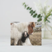 Het duidelijke briefkaart van TIddles en van het (Staand voorkant)