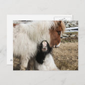 Het duidelijke briefkaart van TIddles en van het (Voorkant / Achterkant)