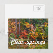 Het duidelijke Gebied van de Recreatie van SPRINGE Briefkaart (Voorkant / Achterkant)