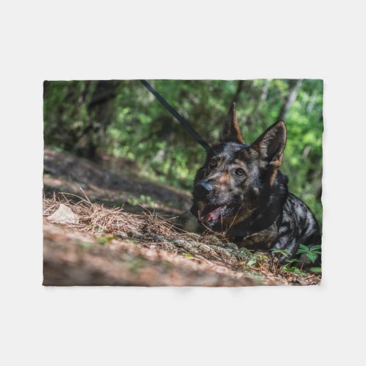 Het Duitse herderfeest in de schaduw Fleece Deken (Voorkant (Horizontaal))