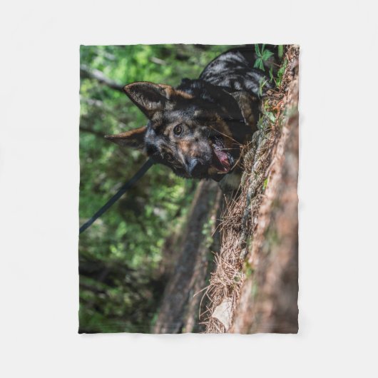 Het Duitse herderfeest in de schaduw Fleece Deken (Voorkant)