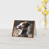 Het Duitse Kortharige Puppy Chillin van de Wijzer Kaart (Gele Bloem)