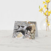 Het Duitse Kortharige Puppy van de Wijzer Kaart (Gele Bloem)