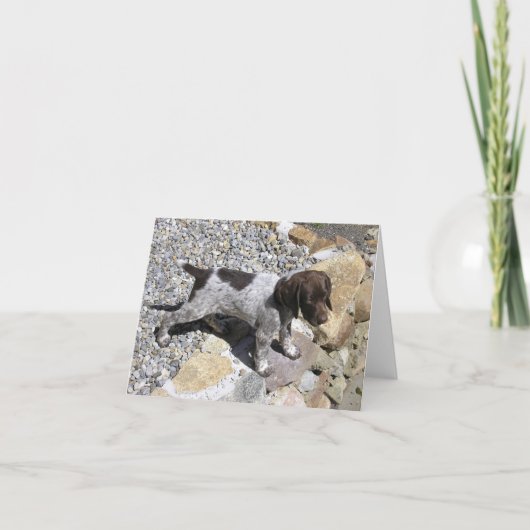 Het Duitse Kortharige Puppy van de Wijzer Kaart (Voorkant)