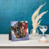 Het Duitse Schapenonderzoek en Redding in de sneeu Fotoplaat (Insitu)