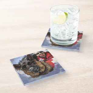 Het Duitse Schapenonderzoek en Redding in de sneeu Glazen Onderzetter