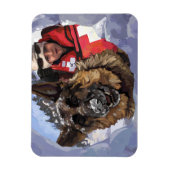 Het Duitse Schapenonderzoek en Redding in de sneeu Magneet (Verticaal)