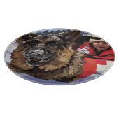 Het Duitse Schapenonderzoek en Redding in de sneeu Snijplank (Hoek)