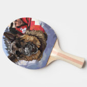 Het Duitse Schapenonderzoek en Redding in de sneeu Tafeltennisbatje (Zijkant)