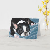 Het Dutje van Boston Terrier Kaart (Gele Bloem)