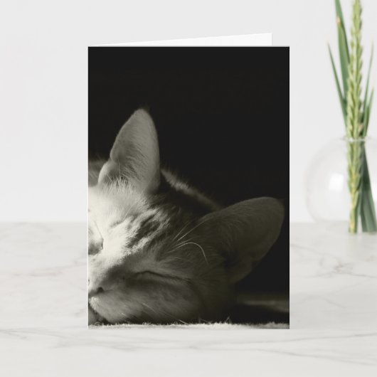Het "dutje van de kat " kaart (Voorkant)