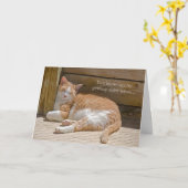 Het Dutje van de Kat van de verjaardag Kaart (Gele Bloem)