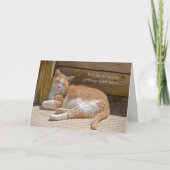 Het Dutje van de Kat van de verjaardag Kaart (Voorkant)