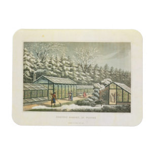 Het dwingen van tuin in de winter, van scherven op magneet