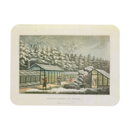 Het dwingen van tuin in de winter, van scherven op magneet (Horizontaal)