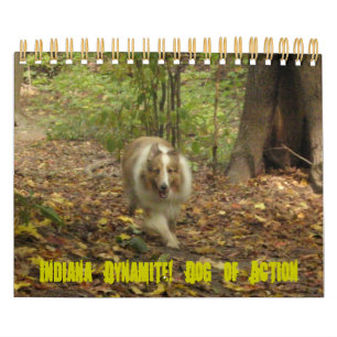 Het Dynamiet van Indiana! Hond van de Kalender van